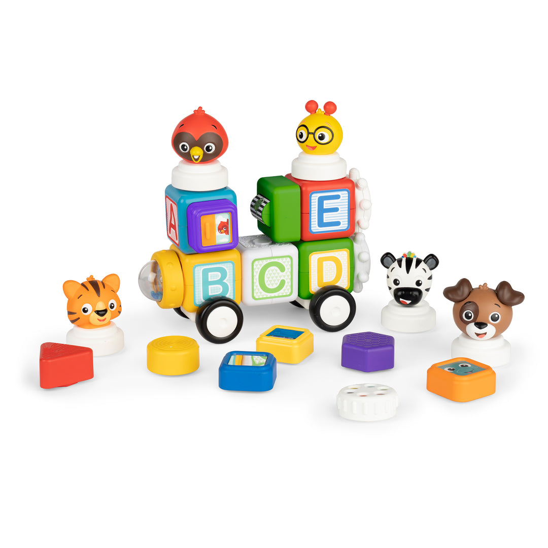 Connect & Create™ Magnetic Activity Blocks