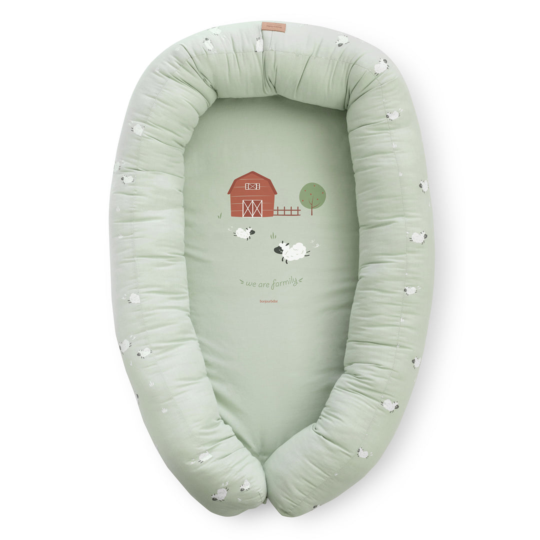 Nido de colecho 2 en 1