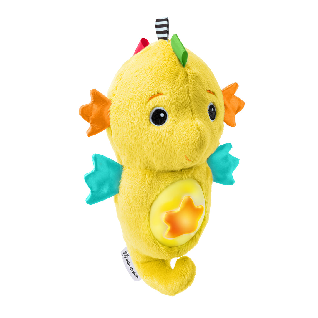 CABALLITO DE MAR “SEA DREAMS SEAHORSE”