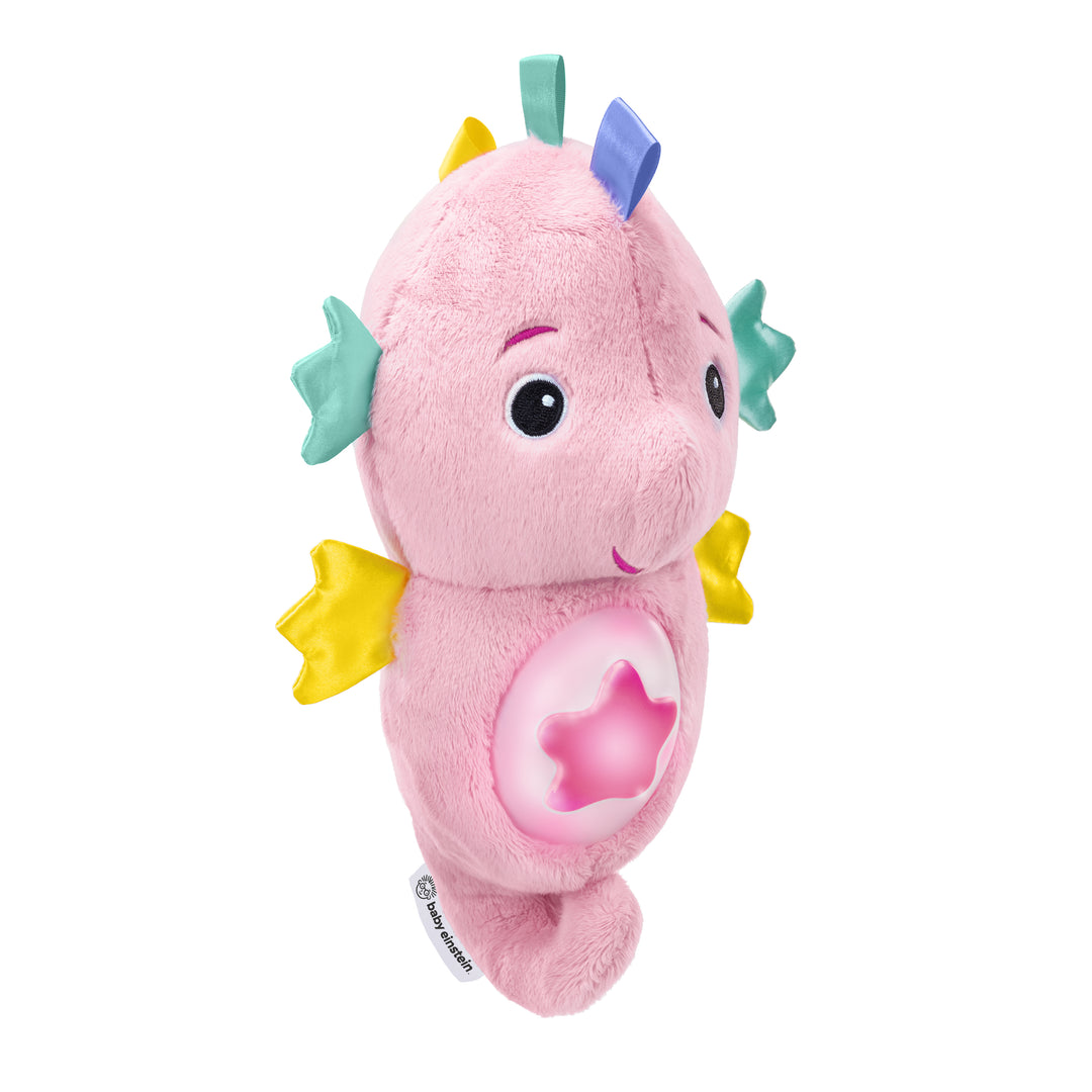 CABALLITO DE MAR “SEA DREAMS SEAHORSE”