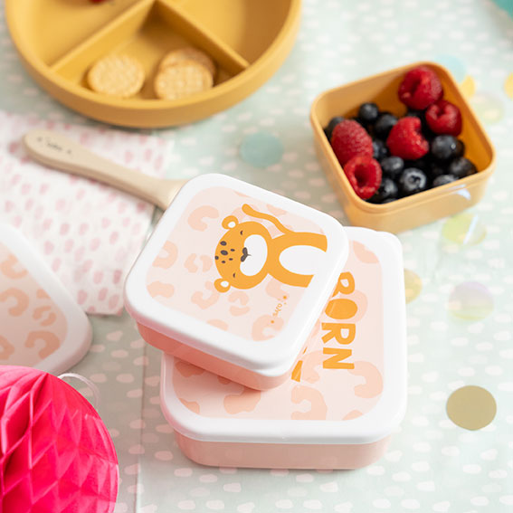 Set of 3 lunch boxes