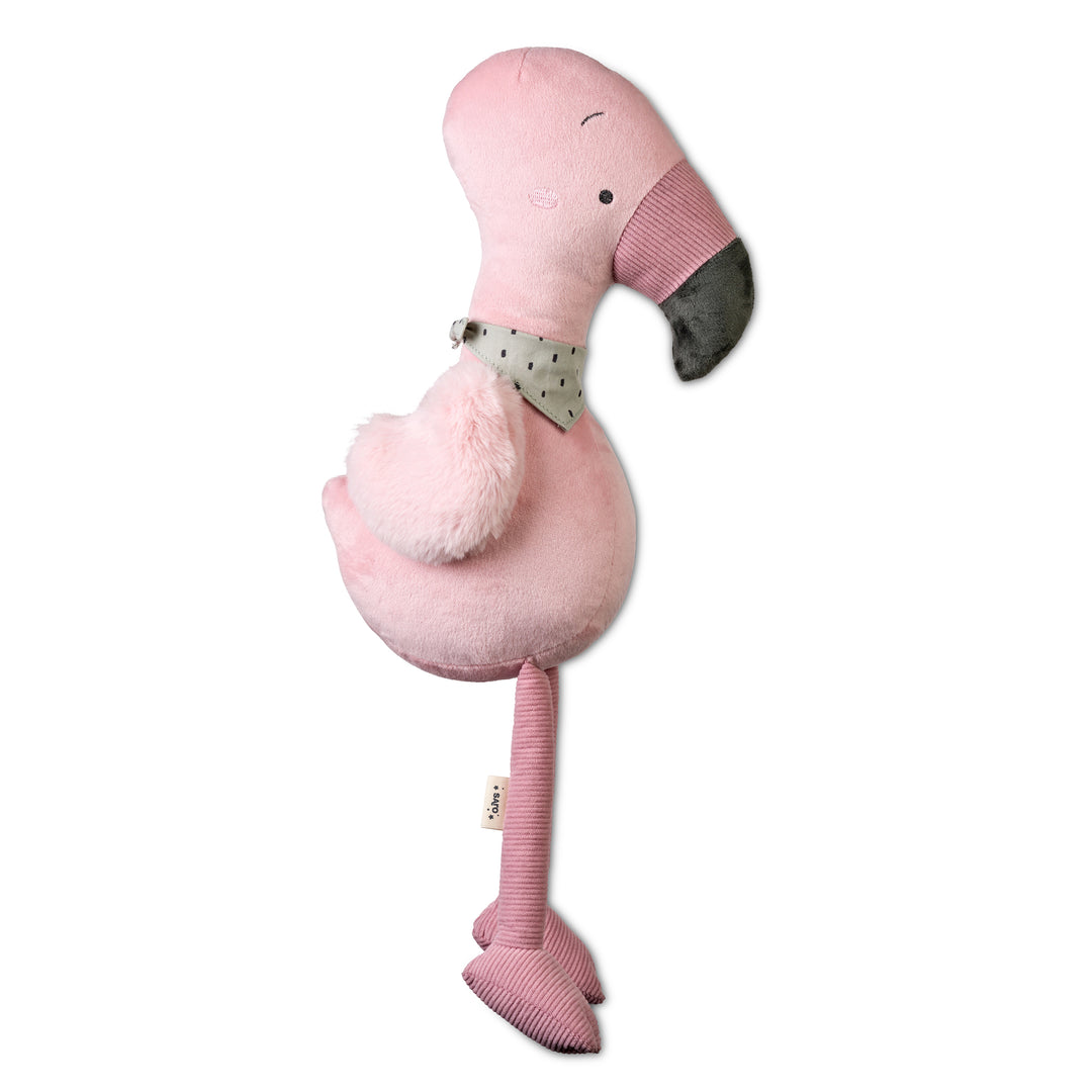 Patudo gigante “Little Explorers”