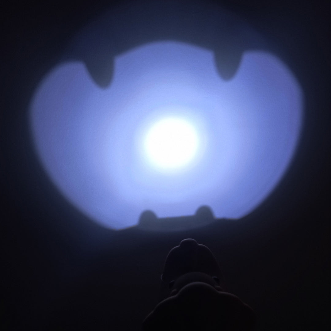 Linterna infantil de silicona “Little Explorers” Lion