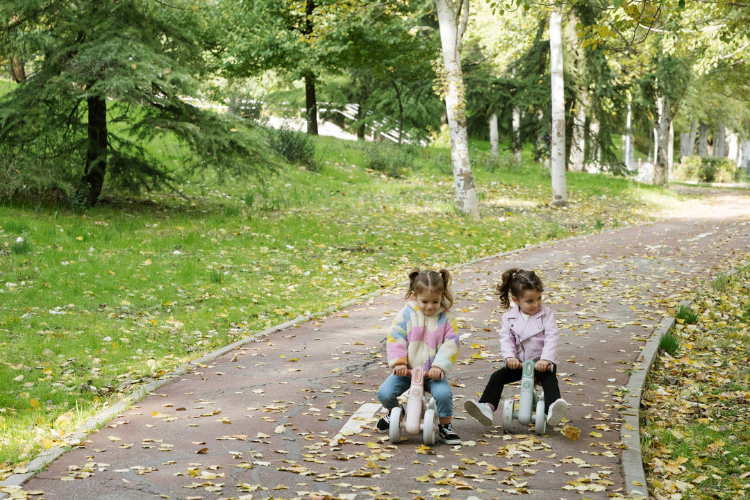 Bicicleta de equilibrio “Ride Free”