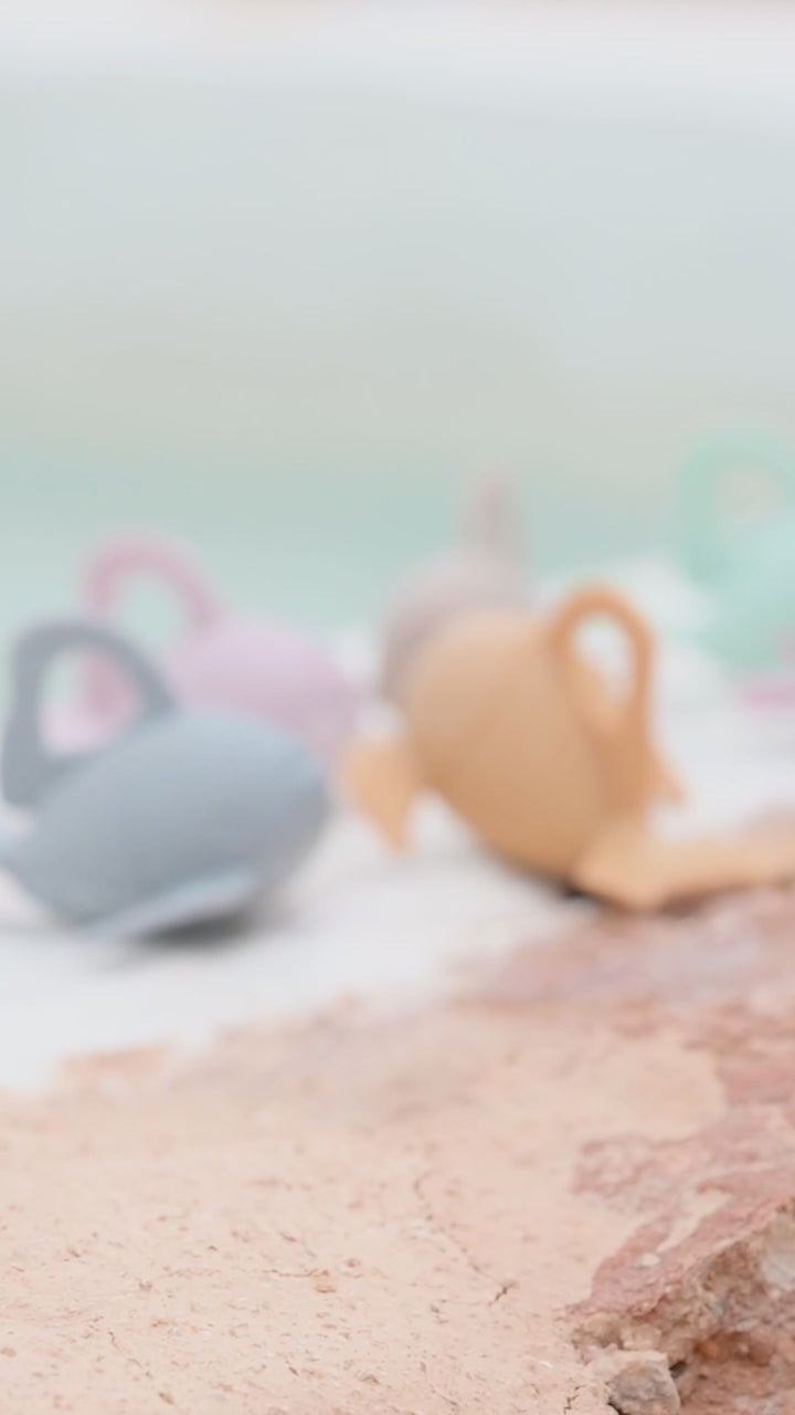 Juego de pescar "Fish & Fun"